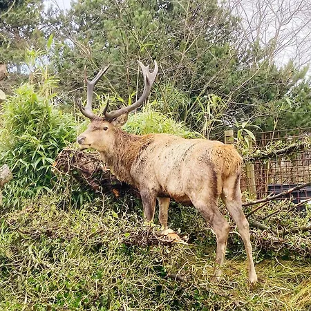 2 Person In Strand-by Traum バイアス・スタン