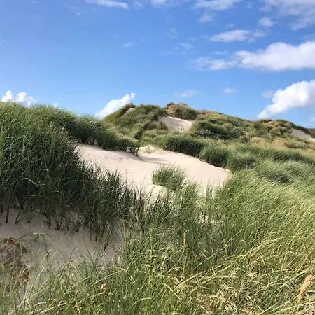 別荘 2 Person In Strand-by Traum *