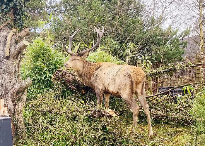 2 Person In Strand-by Traum Vejers Strand
